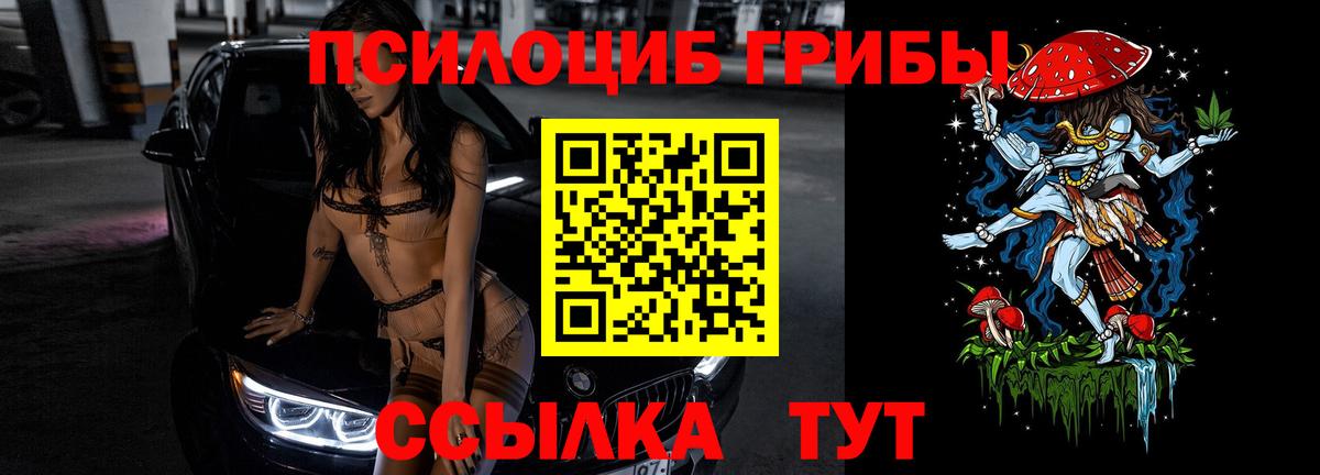 Галлюциногенные грибы Cubensis  Вход с VPN  Сосновоборск  Галлюциногенные грибы Psilocybine cubensis 